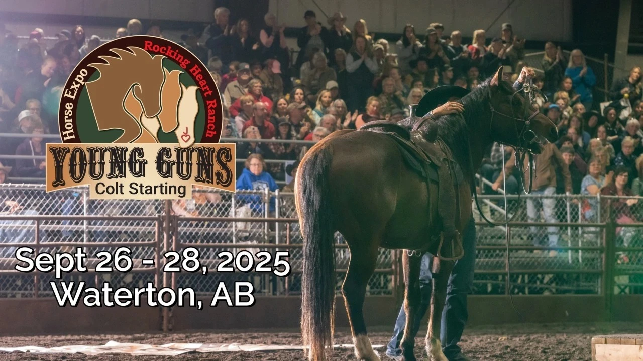 Young Guns Colt Starting 2025